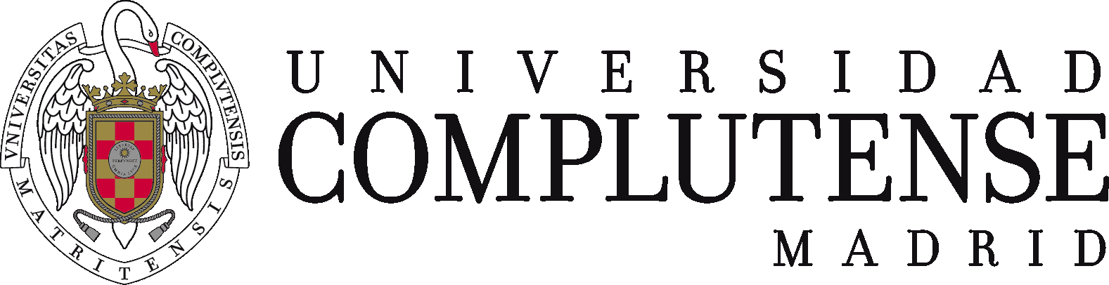 COMPLUTENSE UNIVERSITY